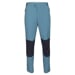 petrol/blackened blue
